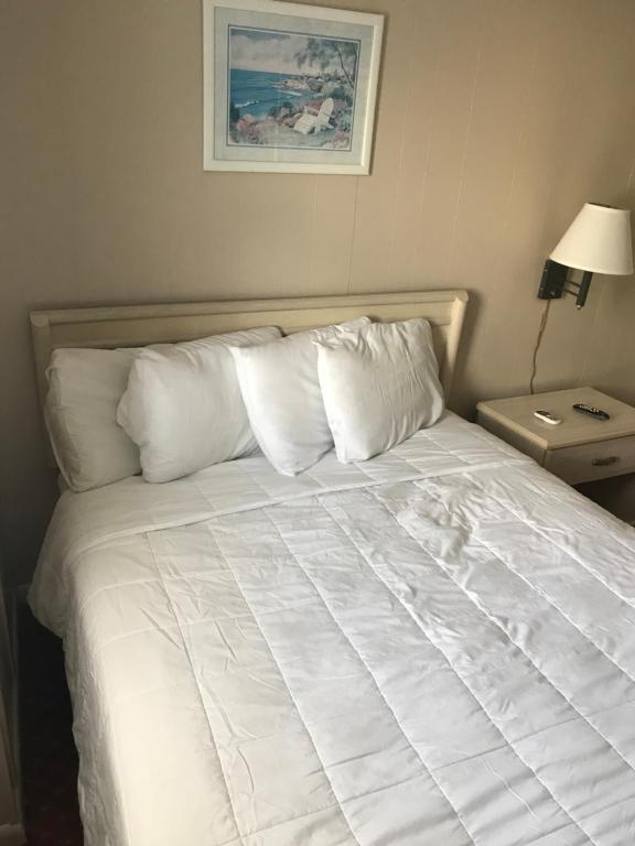 one bedroom suite with full sized bed and nightstand